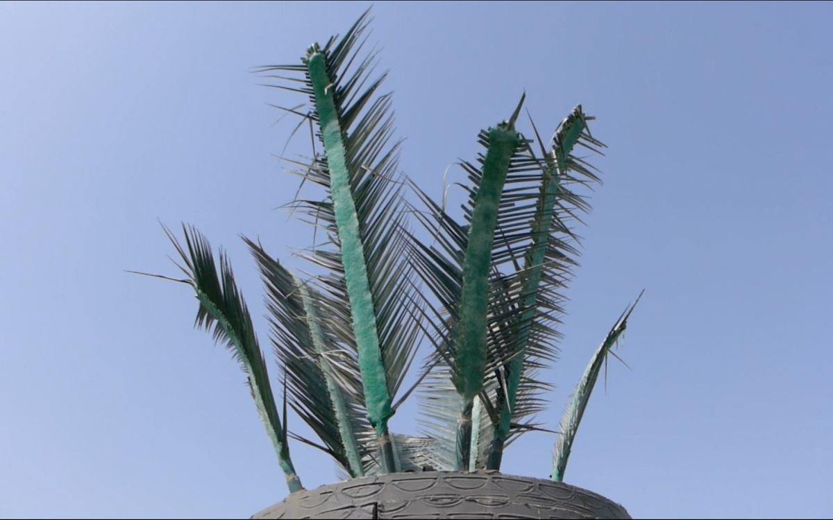 Ghita Skali – Palm Attacks: a few invasive species